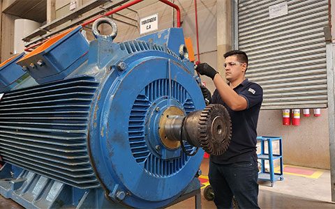 Técnico Dismotor realizando manutenção em motor WEG